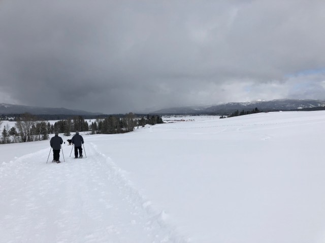 ewytGIJdToyEY1etn9zLRA